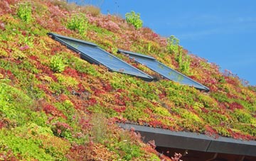 Ballencrieff Toll living roof systems