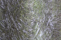 Ballencrieff Toll fibreglass roof work